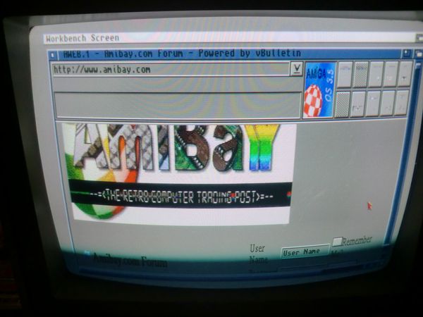Having a look at AmiBay (photo by Old School Game Blog)