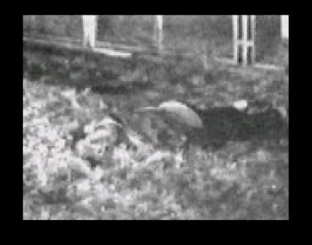 Screenshot from the video, but it is unfortunately of a bit low quality (screenshot by Old School Game Blog)